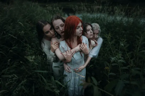 Casino Dove Bingo Suporte